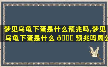 梦见乌龟下蛋是什么预兆吗,梦见乌龟下蛋是什么 🐒 预兆吗周公解梦